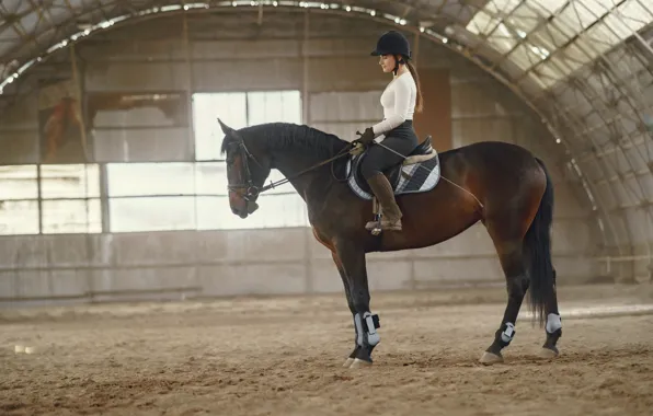 Girl, light, horse, horse, blouse, helmet, rider, saddle