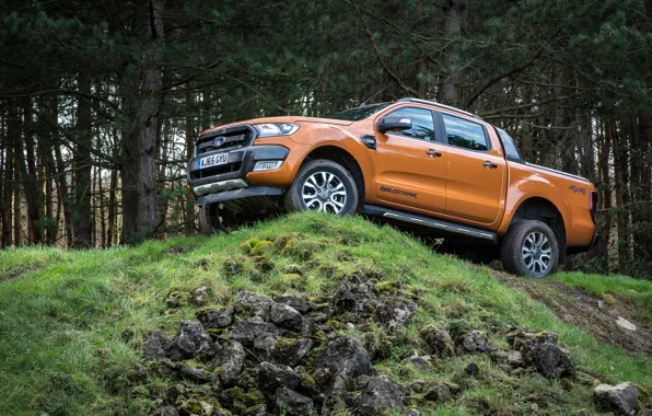 Forest, Ford, pickup, Ranger, Wildtrak, vnedorozhnik