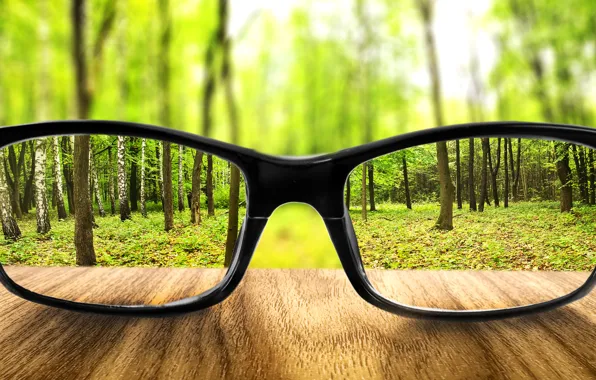 Picture forest, land, glasses, increase