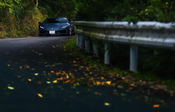 Picture road, autumn, forest, Lamborghini Hurricane