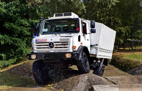 White, water, trees, foliage, Mercedes-Benz, truck, 4x4, ditch