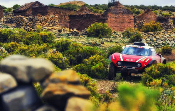 Mini, Speed, Rally, Dakar, Dakar, Rally, Buggy, Buggy