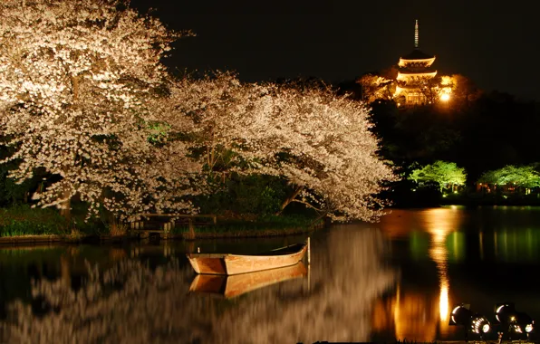 Trees, night, lake, boat, spring, Sakura, backlight, blooming