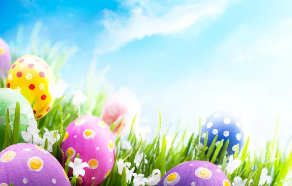 Photo, The sky, Grass, Easter, Eggs, Holiday