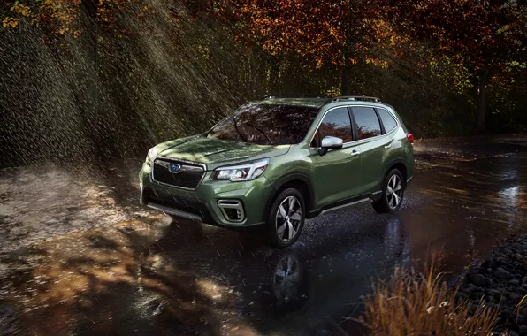 Subaru, wet asphalt, crossover, Forester, 2019