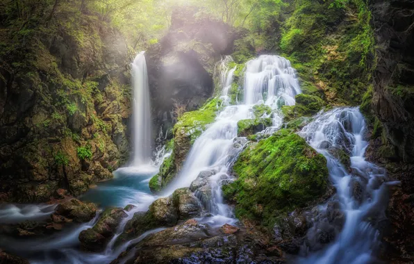 Forest, waterfall, stream