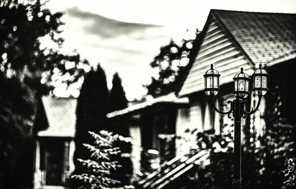 Picture house, blur, lantern