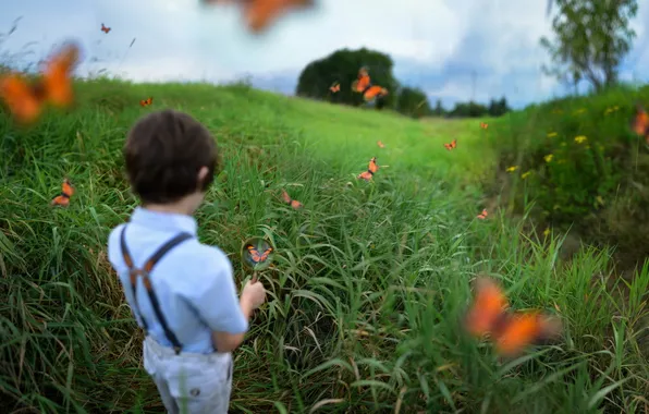 Picture butterfly, boy, young naturalist, Austin Tott