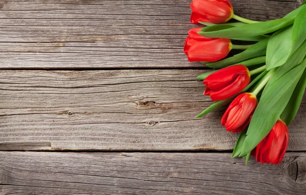 Flowers, bouquet, tulips, red, love, wood, flowers, romantic