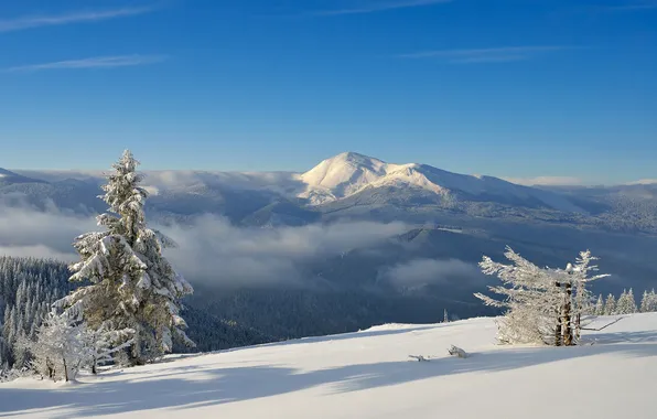 Winter, the sky, clouds, snow, trees, landscape, mountains, nature