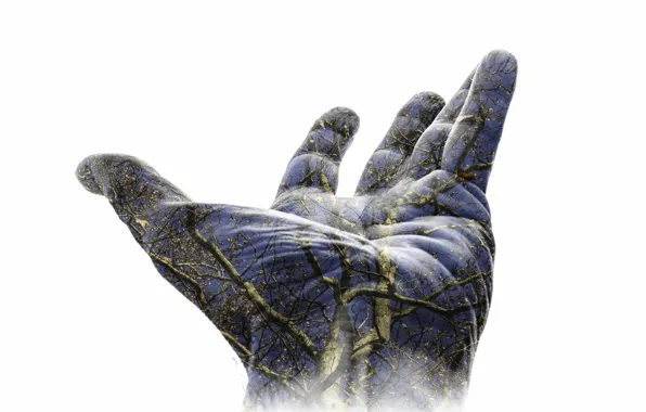 Picture nature, background, hand