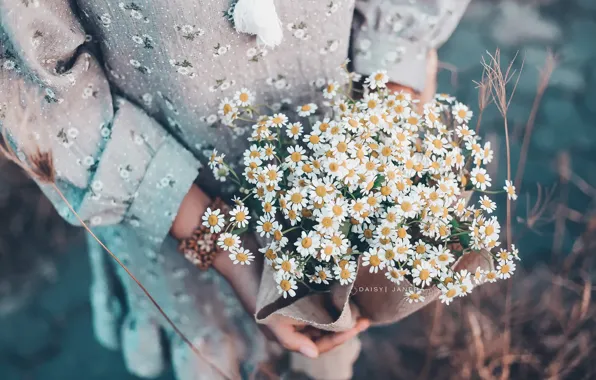 Girl, flowers, chamomile