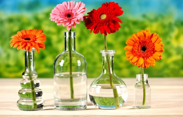 Picture water, flowers, table, bottle, chrysanthemum, brightness, bokeh, vases