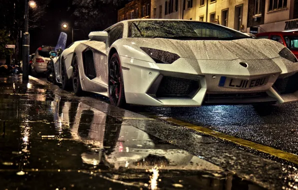 Picture Street, White Aventador, Lamborghini Aventador under rain at night, Aventador in Street, Two Lamborghini, Aventaror, …