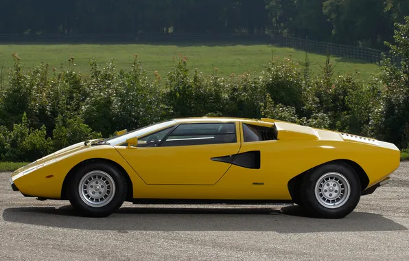 Picture lamborghini, side view, the bushes, yellow, Lamborghini, Countach, countach lp400