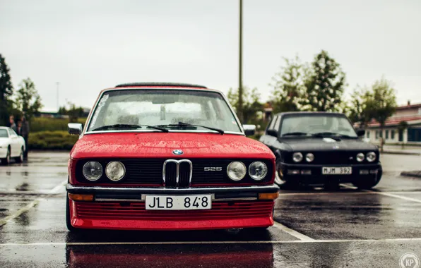 Two, BMW, BMW, black, red, tuning, stance, 525