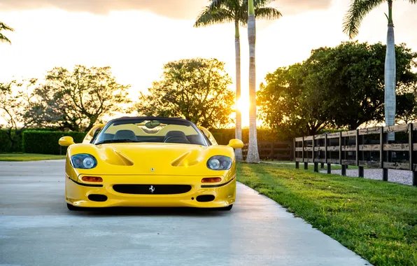 Ferrari, sports car, convertible, 1995, F50, Ferrari F50