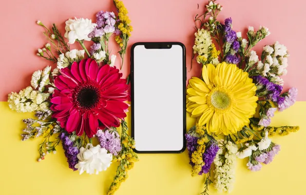 Flowers, spring, colorful, chrysanthemum, flowers, smartphone, spring, bright