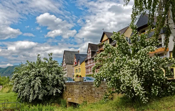 The sky, grass, clouds, trees, mountains, home, Germany, bloom