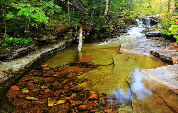 Picture stones, Autumn, river, river, autumn