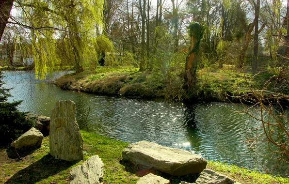 Green, trees, water, brook, park, plants