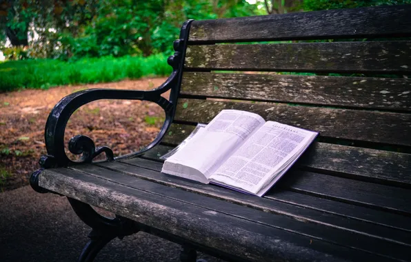 Picture grass, nature, Park, plants, shop, book