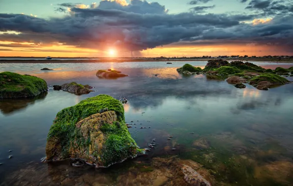 Picture clouds, algae, sunset, stones, Bay, rain