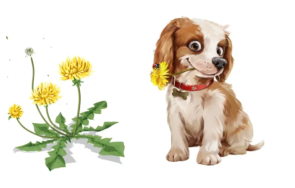 Picture dandelion, art, puppy, dog, children's