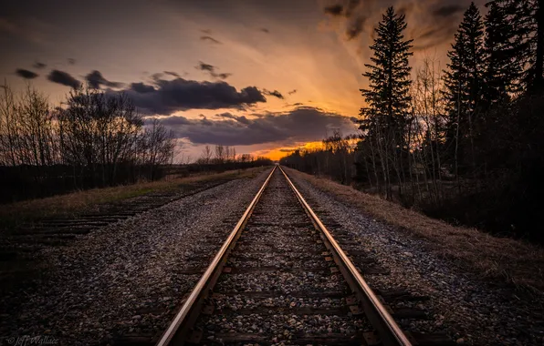 Trees, sunset, railroad, Jeff Wallace