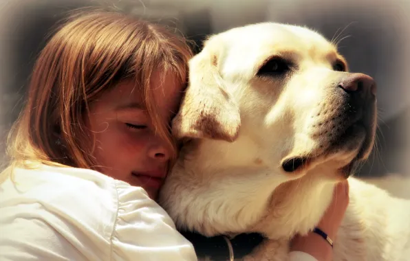 Picture mood, dog, girl, friends