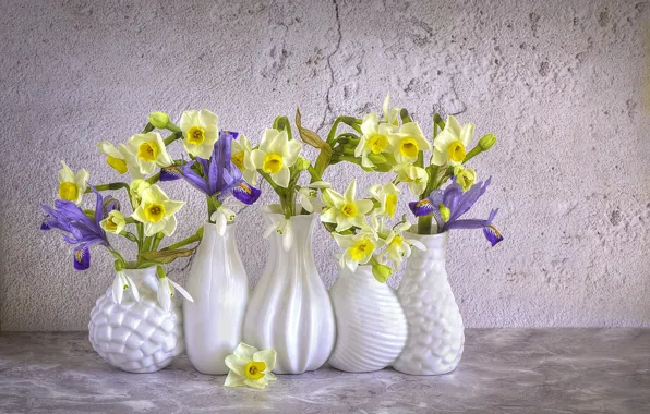 Picture flowers, spring, snowdrops, irises, daffodils, vases, Jacky Parker