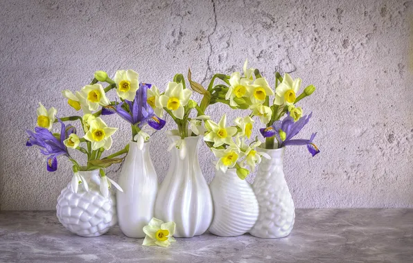 Flowers, spring, snowdrops, daffodils, vase, iris, Jacky Parker