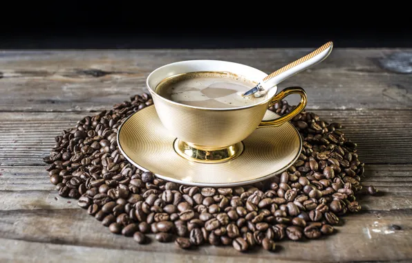 Coffee, Cup, coffee beans, saucer, aroma