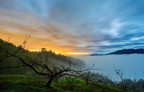 Sunset, fog, lake, the evening