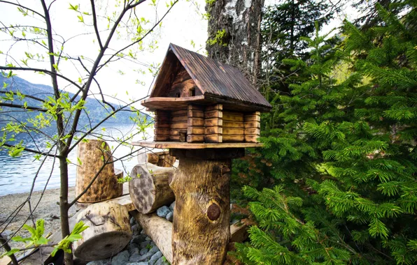 Trees, nature, Altay, more, teremok, Lake Teletskoye