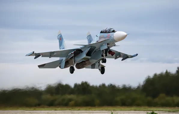 Picture army, the plane, Su-30SM