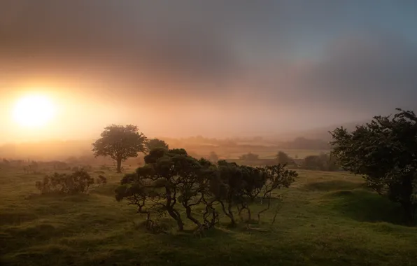 Fog, sunrise, England, Cornwall