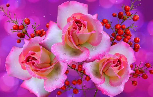 Picture bouquet, pink, Roses