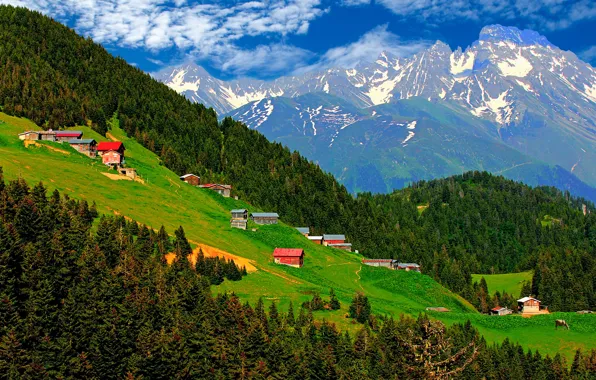 Turkey, rize, çamlıhemşin, pokut plateau