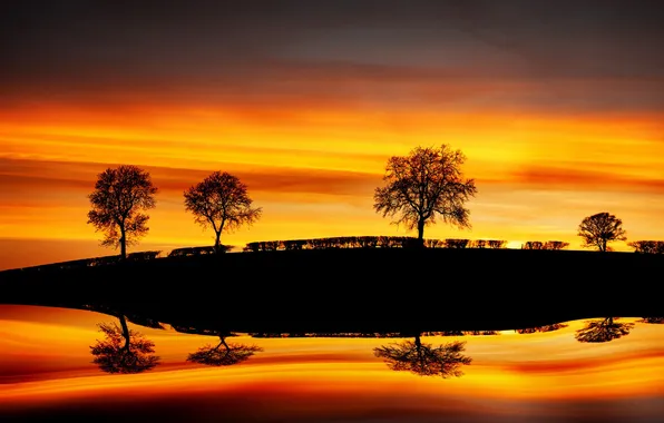 Trees, landscape, sunset, Reflections