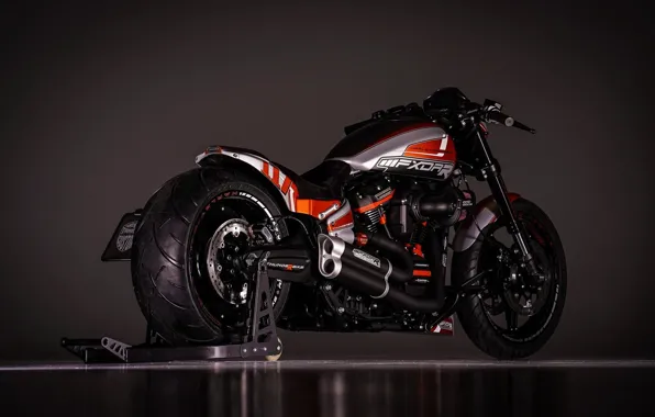 Harley-Davidson, Custom, Thunderbike