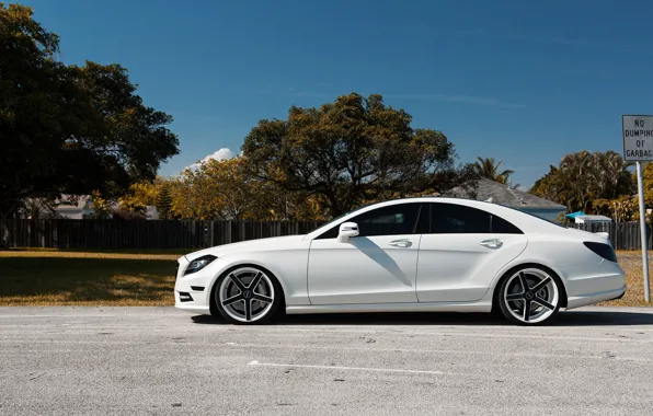 Picture Mercedes, side view, White, Matte, Tuning, CLS 550