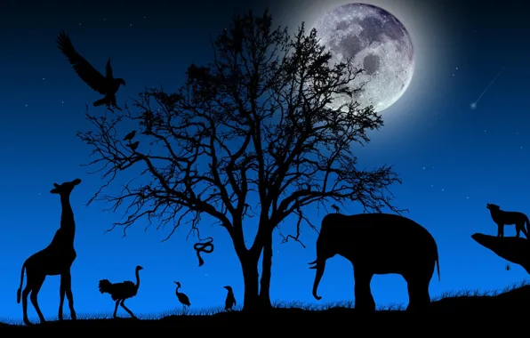 Picture TREE, The SKY, NIGHT, The MOON, STARS, BRANCHES, ELEPHANT, SNAKE