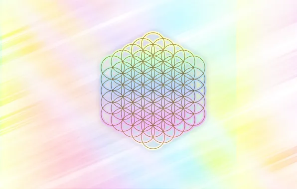 flower of life color