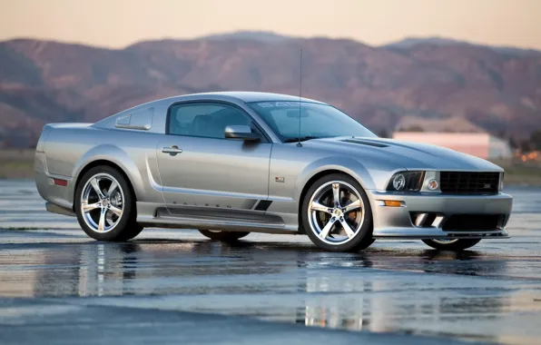 Mustang, Ford, 2008, Saleen, S302, Extreme