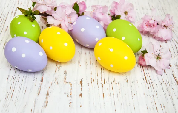 Picture flowers, eggs, colorful, Easter, happy, wood, blossom, flowers