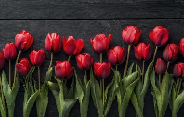 Leaves, flowers, the dark background, holiday, bright, Board, bouquet, spring
