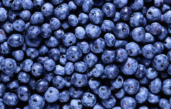 Picture background, food, blueberries, berry, vitamins :)