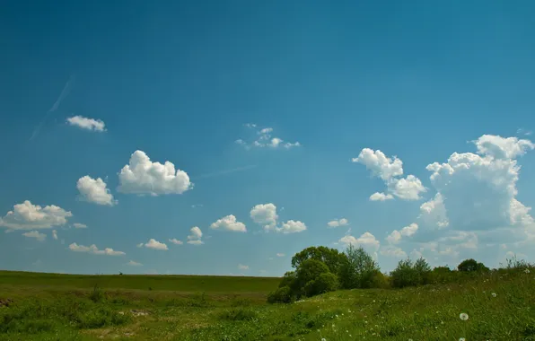 Field, clouds, The sky, spring