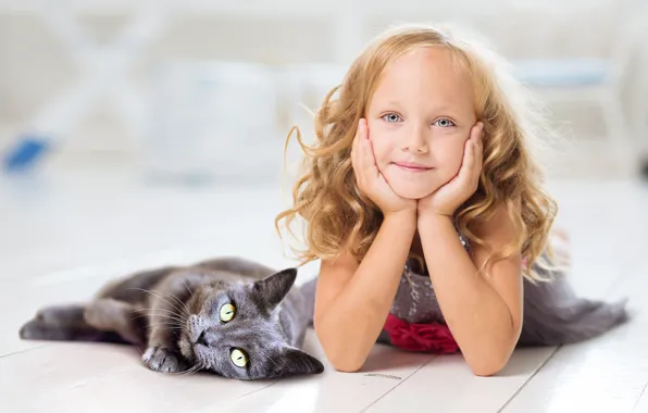 Cat, cat, look, children, face, pose, smile, grey